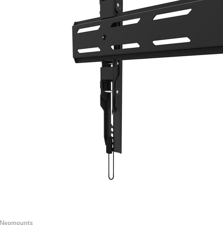 Actual product image Neomounts Wall Mount WL30S-850BL16 Black (Wall, 82", 60 kg)