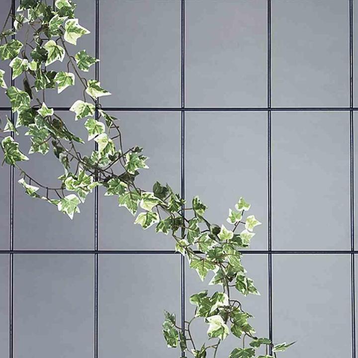 Produktbild Siena Garden Spalier (150 cm, 60 cm)