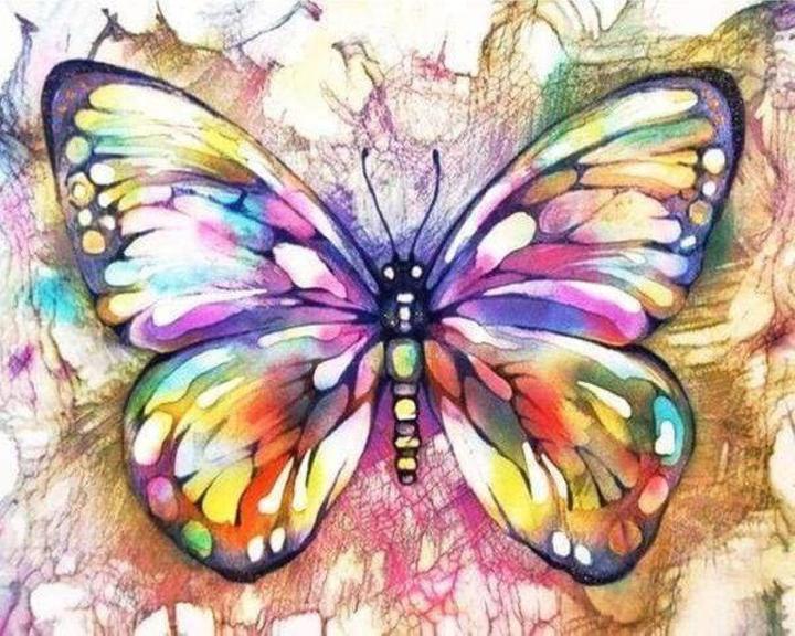 Produktbild Figured'Art Kreuzstich-Set Schmetterling und Farben