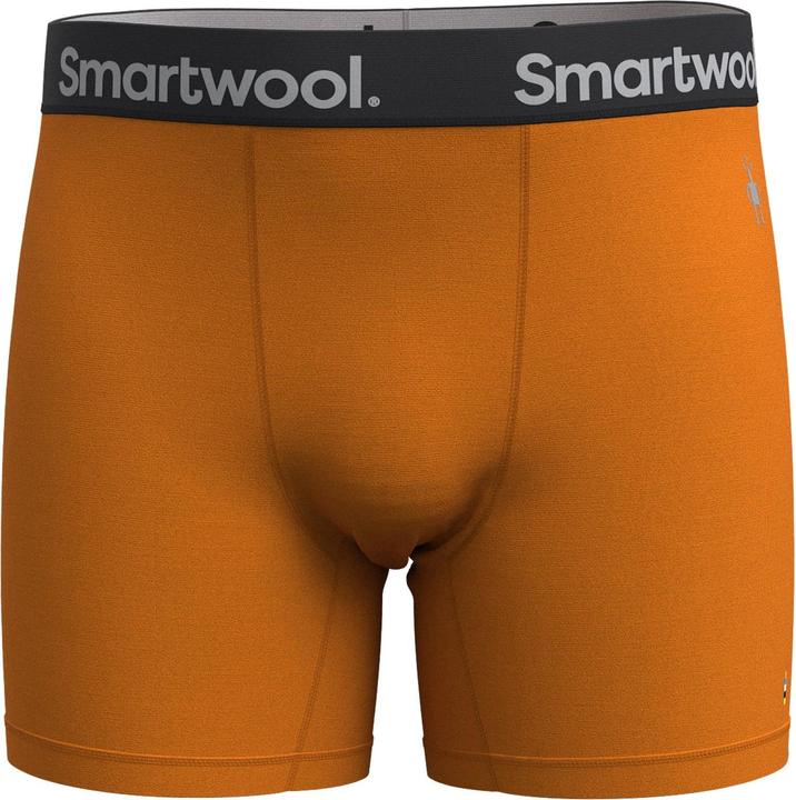 Image du produit Smartwool Boxer Brief Boxed (M)