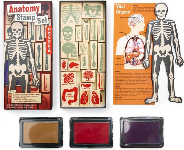 Kikkerland Timbri di anatomia