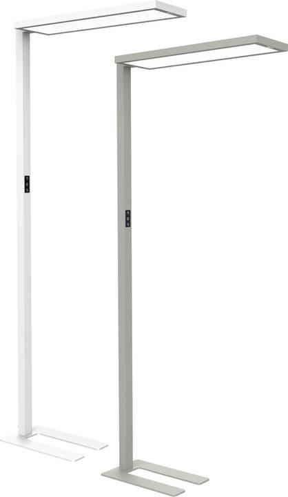 Image du produit Maul Lampadaire LED MAULsenja, variateur, détecteur de mouvement/lumière - blanc (15150 lm)