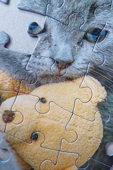 Image du produit Selecta Spielzeug Puzzle Gentil chaton et chien endormi, 100 pièces. (100 pièces)