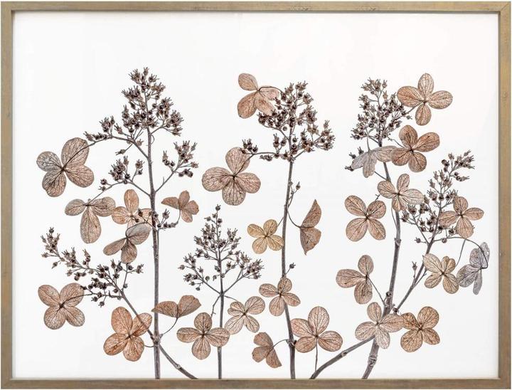 Actual product image Trenddeko Dried flowers (100 x 80 cm)