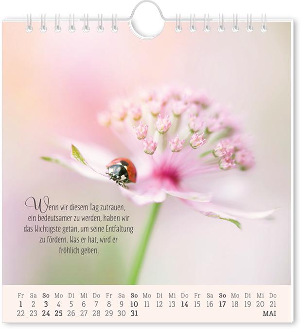 Produktbild Postkartenkalender 2026 Lebenszeichen (16 x 17 cm, Deutsch)