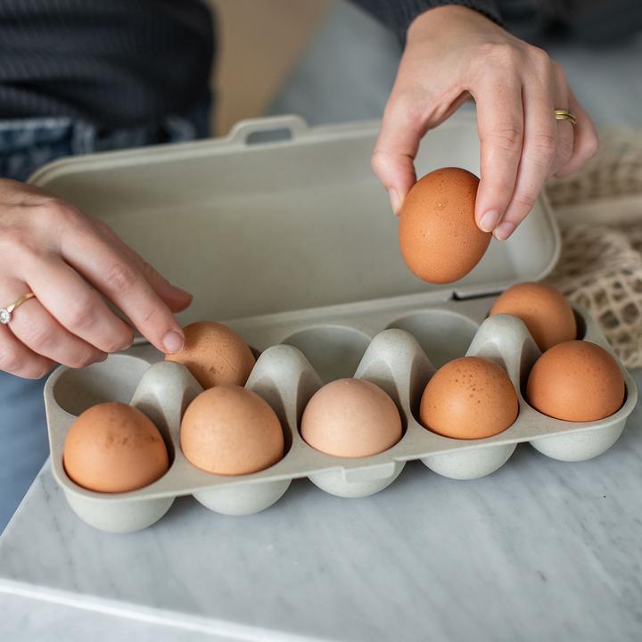 Actual product image Koziol Egg box (2.69 l)