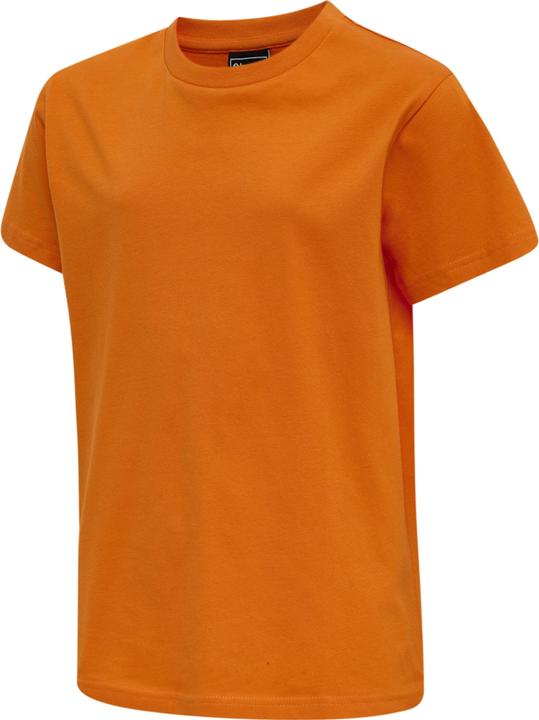 Orange tiger