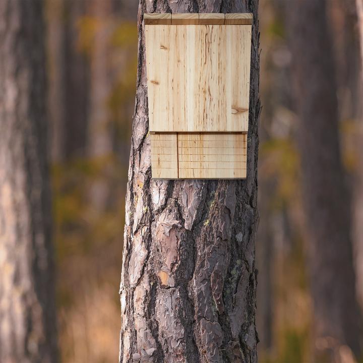 Produktbild Relaxdays Fledermauskasten