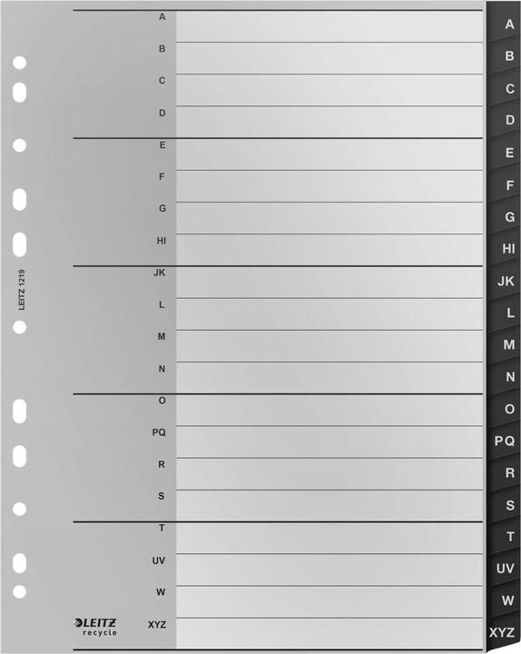 Esselte Index book register