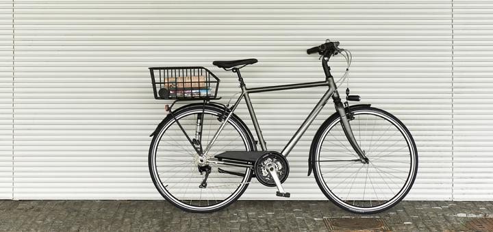 Image du produit Basil Cento (20 l)