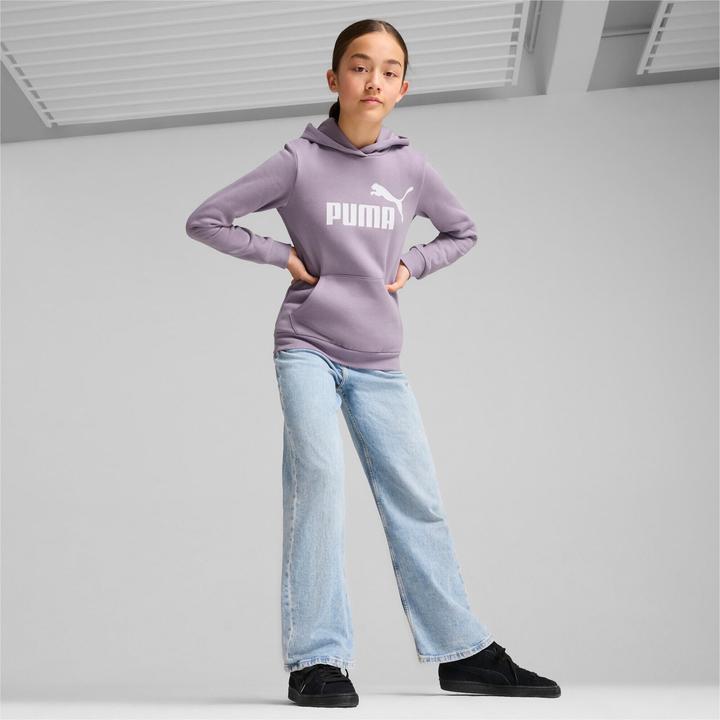 Actual product image Puma ESS Logo Hoodie FL G (164)