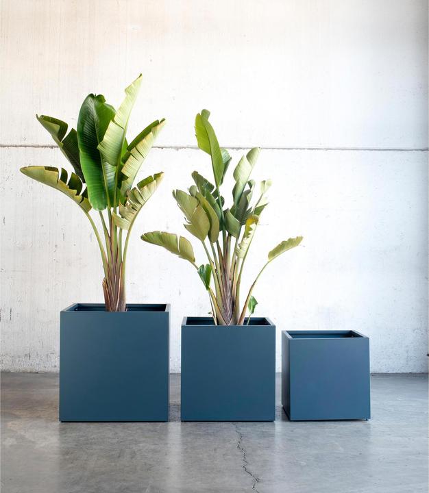 Image du produit Herstera Cube (60 cm)