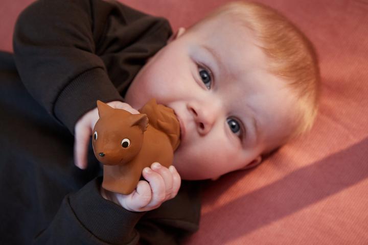 Actual product image Filibabba Natural rubber teething ring - Sonja the squirrel