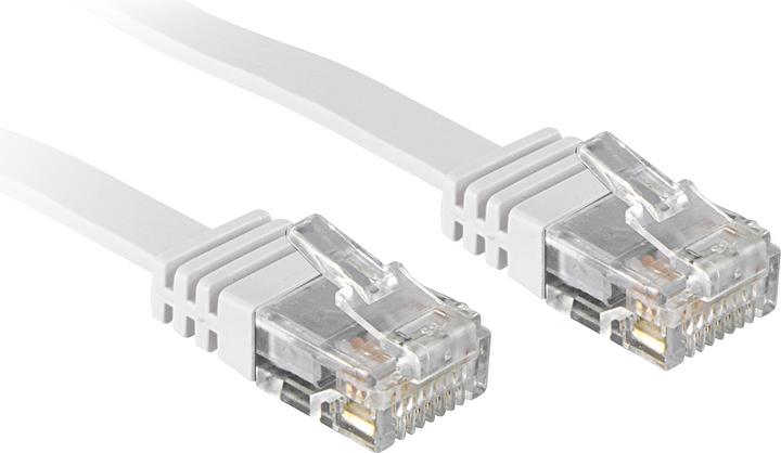 Lindy Network cable (UTP, CAT6, 1 m)