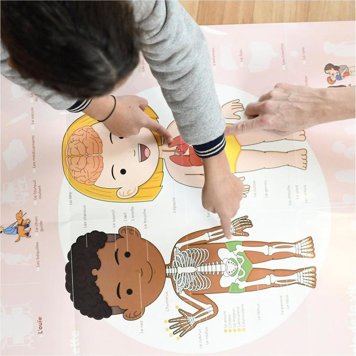 Immagine prodotto Poppik Poster didattico con adesivi sul corpo umano