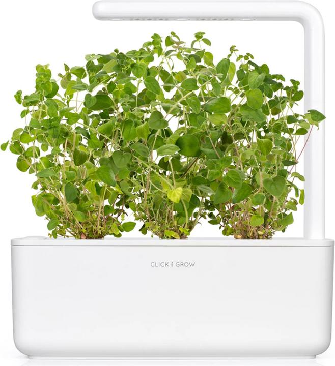 Produktbild Click and Grow Oregano (Kräutersamen)