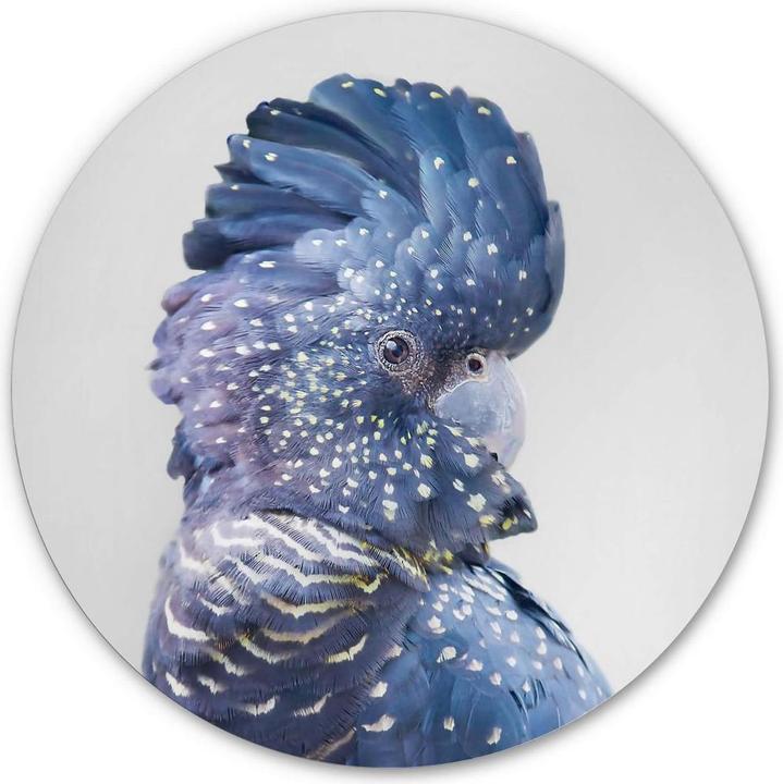 Produktbild Trenddeko Blaue Kakadu (Rund)