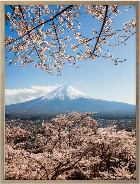 Produktbild Trenddeko Mount Fuji in Japan (50 x 60 cm)