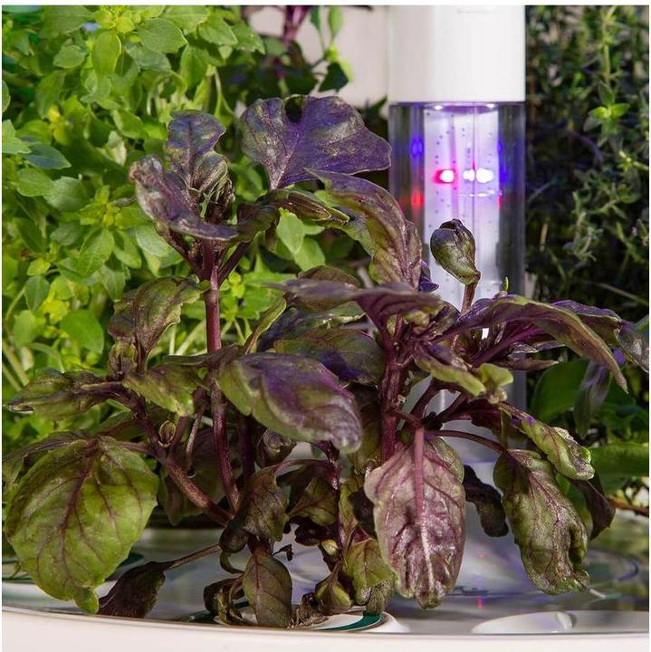 Immagine prodotto Plantui Blocco luminoso (LED)