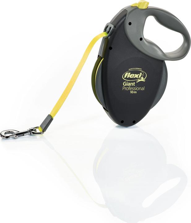 Flexi Giant Professional (L, Hund, Spazieren)