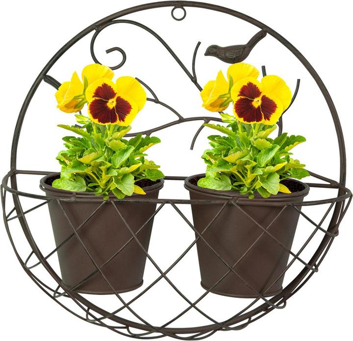 Image du produit Casativo Support mural pour pots de fleurs en métal