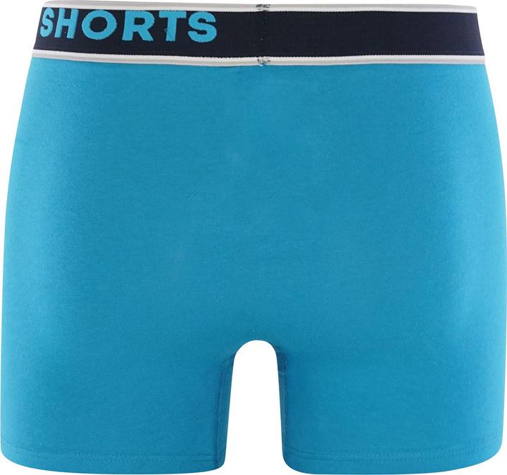 Immagine prodotto Phil & Co. Berlin Pantaloni retrò Tutti gli stili (M, confezione da 4)