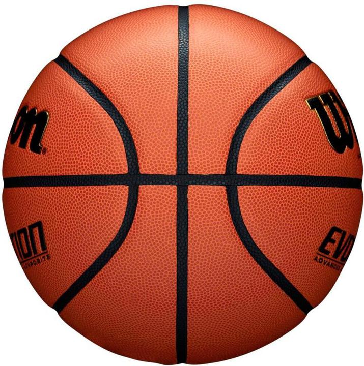 Actual product image Wilson Evolution Game Ball (7)