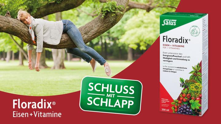 Produktbild Salus VEGAN Eisen + Vitamine Fl 500 ml (1 Stück, Flüssigkeit, 990 g)