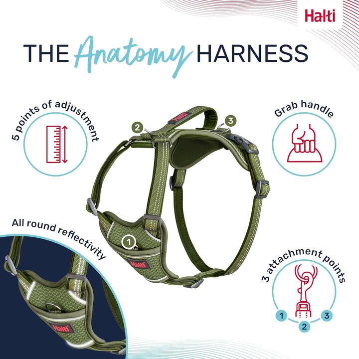 Actual product image Company of Animals Halti Anatomy XL dog harness (XL, Dog)