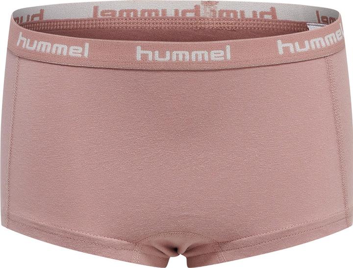 Immagine prodotto hummel Hmlcarolina Hipsters 2-Pack (104, Confezione da 2)