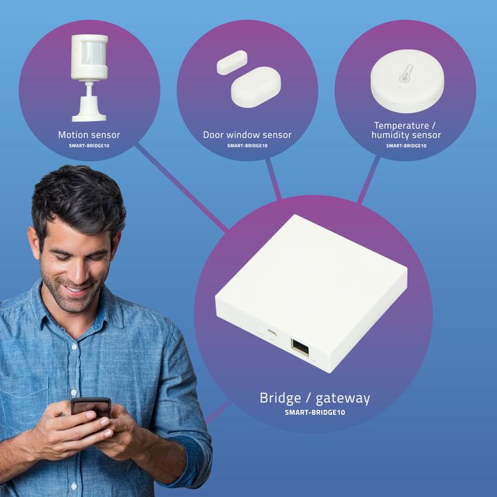 Image du produit Alecto Unité de contrôle Smart-Bridge10