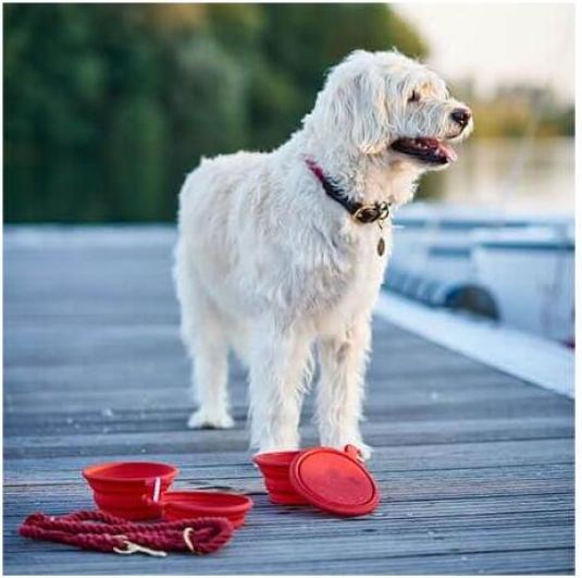 Image du produit Hunter Ecuelle de voyage en silicone List (0.75 l)