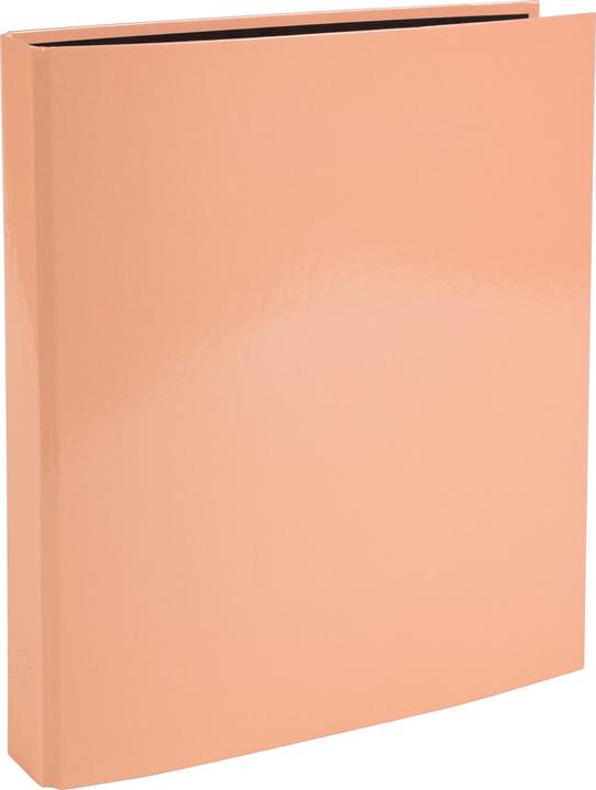 Actual product image Exacompta Ring binders (A4, 25 mm, 1 Piece)