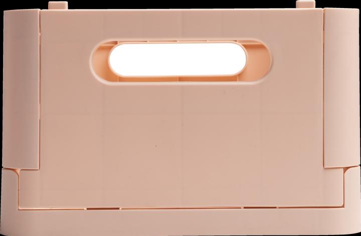 Actual product image Exacompta Boîte pliable The Smart Case midi Skandi - Nude (1.44 l)