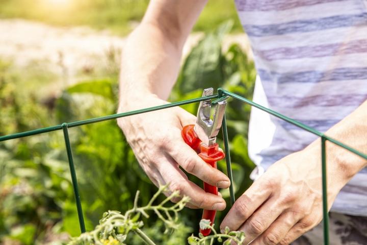 Actual product image Windhager Tomato Tower 4-piece (35 cm, 35 cm)