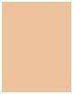 Actual product image MAC Cosmetics Studio Fix Powder Plus Foundation (C5.5)