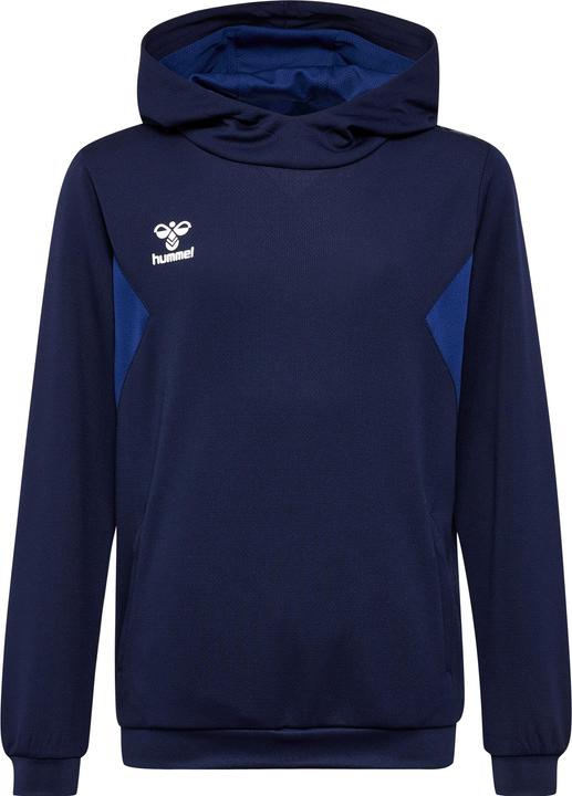 Image du produit hummel Hmlauthentic Pl Hoodie Kids (164)
