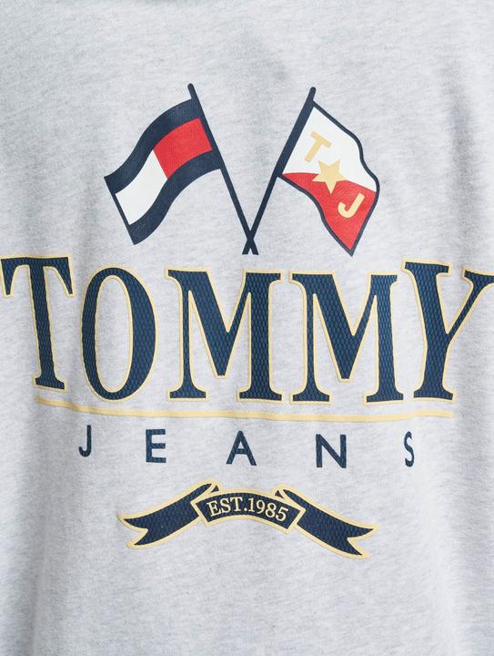 Produktbild Tommy Hilfiger Tjm Skater Prep Back Hoodie (M)