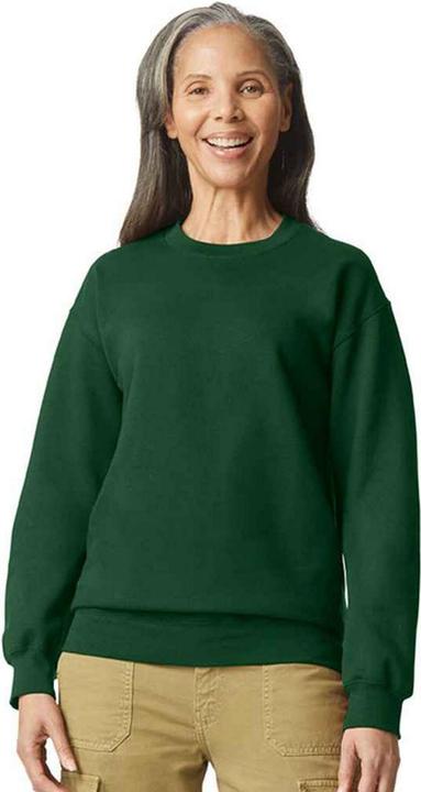 Gildan Softstyle Sweatshirt