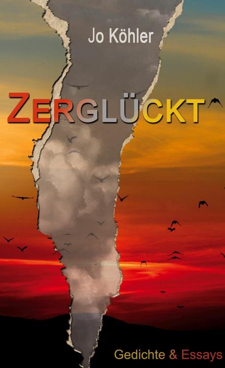 Produktbild Zerglückt (Deutsch, 2022)
