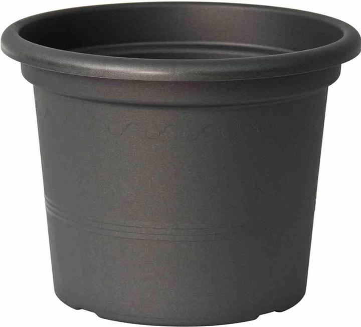 Charcoal