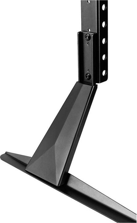Actual product image myWall HP49L (Universal, 75", 40 kg)