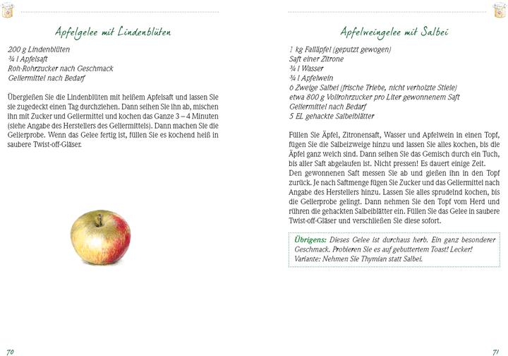 Actual product image Das Apfelbuch (German, Burkhard Steinmetz, Cornelia Blume, 2016)