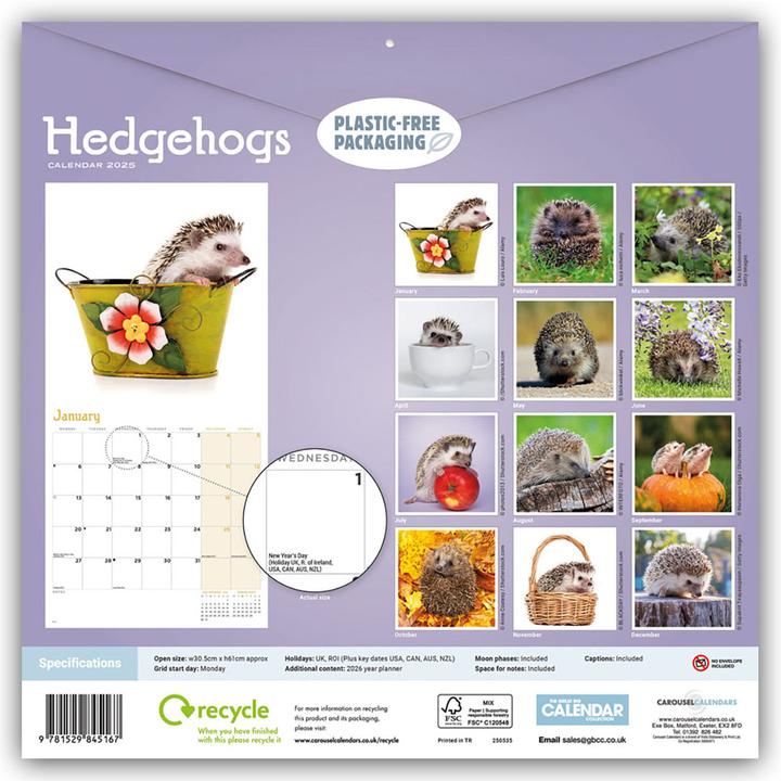 Image du produit Hedgehogs - Hérisson 2024 (30,5 x 30,5 cm, Anglais, Allemand)