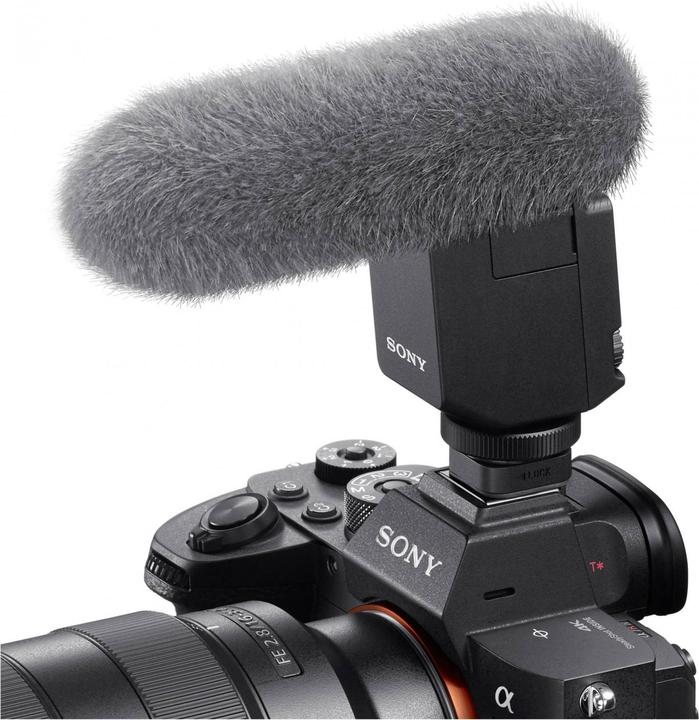 Immagine prodotto Sony ECM-B1M