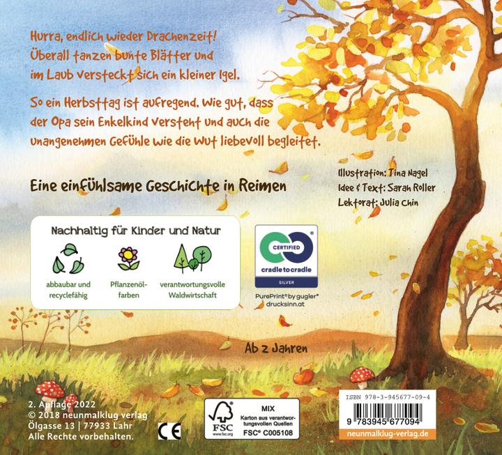 Produktbild Flieg, kleiner Drachen! (Deutsch, Tina Nagel, Sarah Roller, 2018)