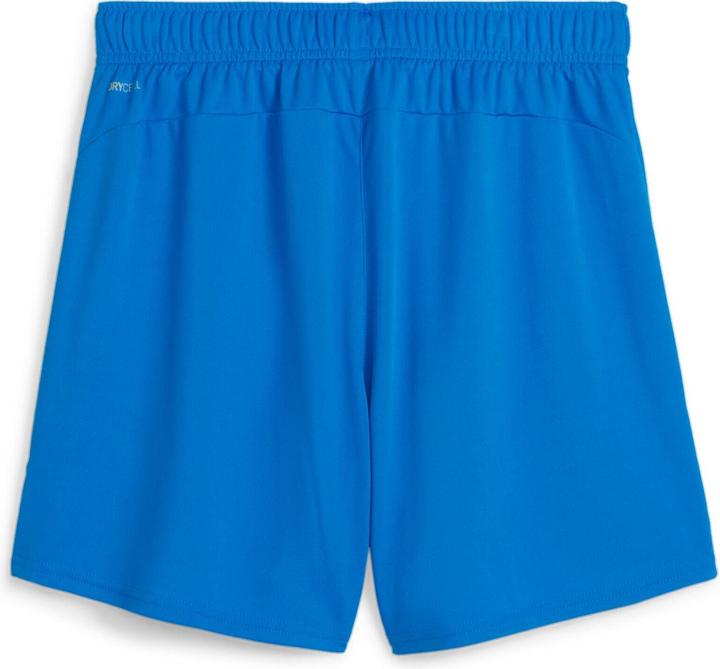 Image du produit Puma teamGOAL Shorts Wmns (L)