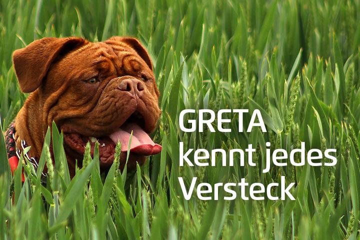 Actual product image Prothelis Locating system Greta (Vault, Dog)