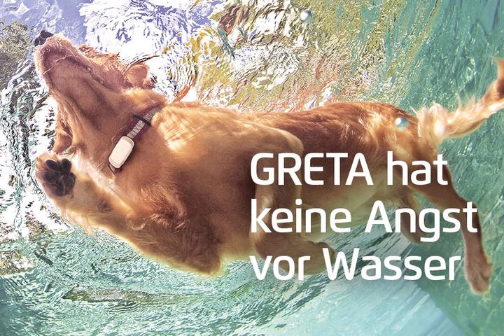 Actual product image Prothelis Locating system Greta (Vault, Dog)