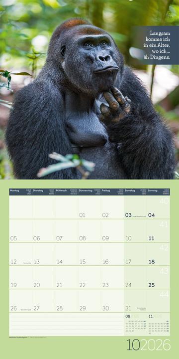 Produktbild Keep Smiling! Kalender 2026 - 30x30 (30 x 30 cm, Deutsch, Englisch, Französisch)